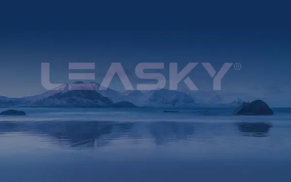 The Product Brochure of LEASKY 